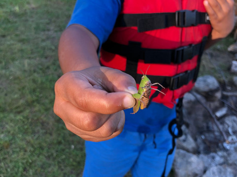 Quiet Bay Inn & Cafe主图