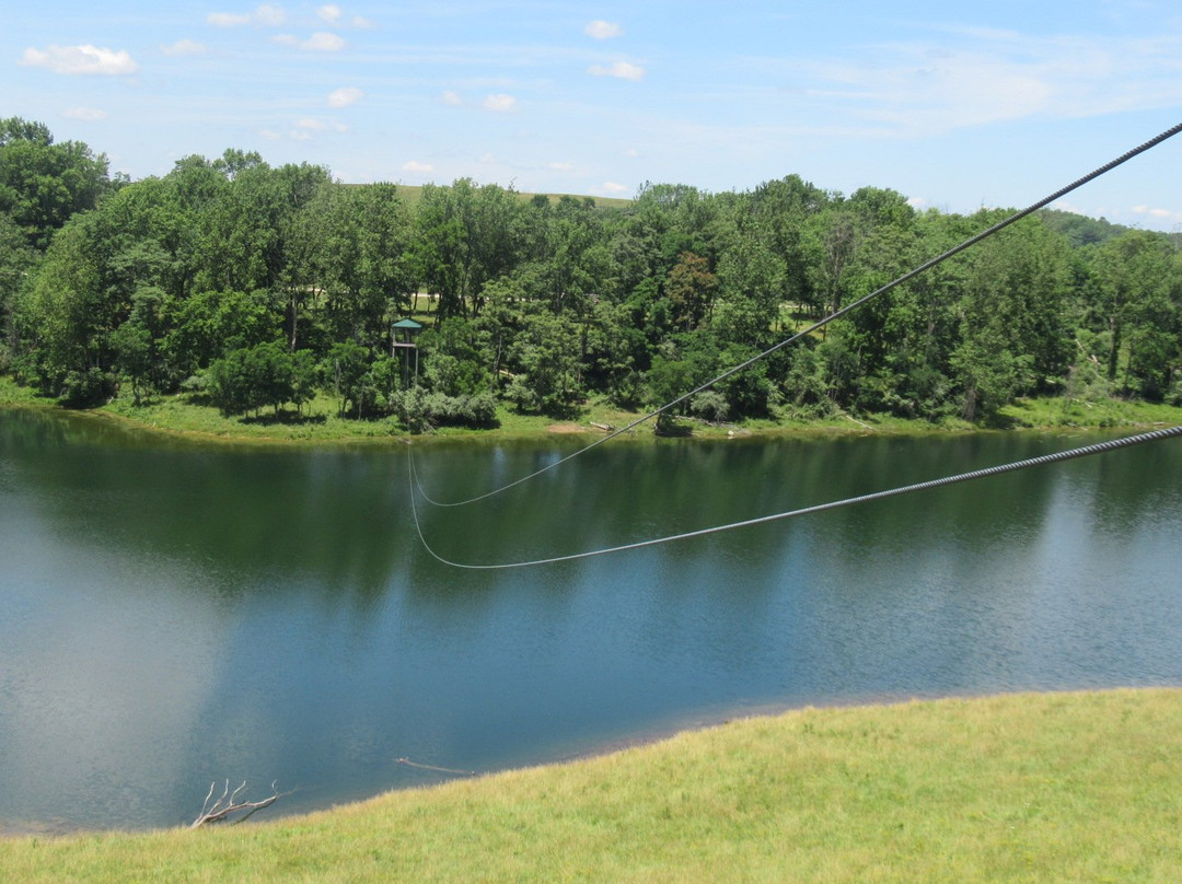 Wild Zipline Safari-Cumberland必去景点