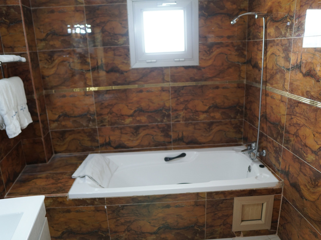 Al Mansour Palace Hotel主图