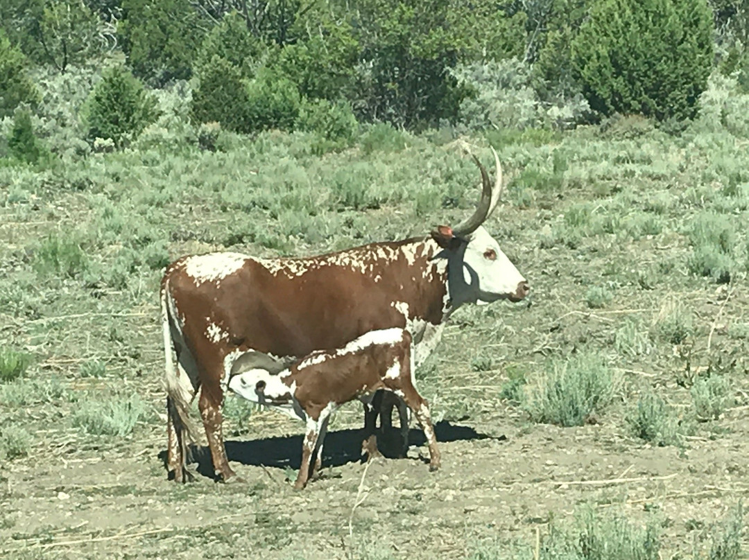 Lick Wash Slot Canyon-卡纳布必去景点