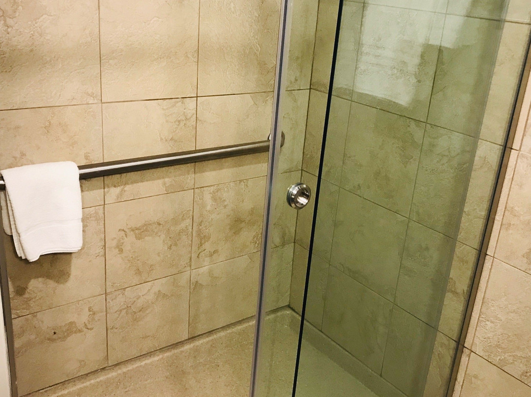 Drury Plaza Hotel Dallas Richardson主图