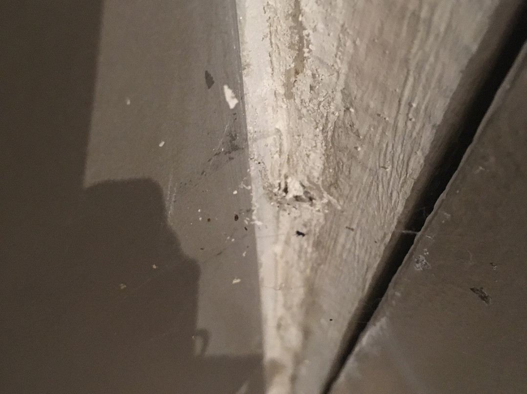 Côte Cannelle主图