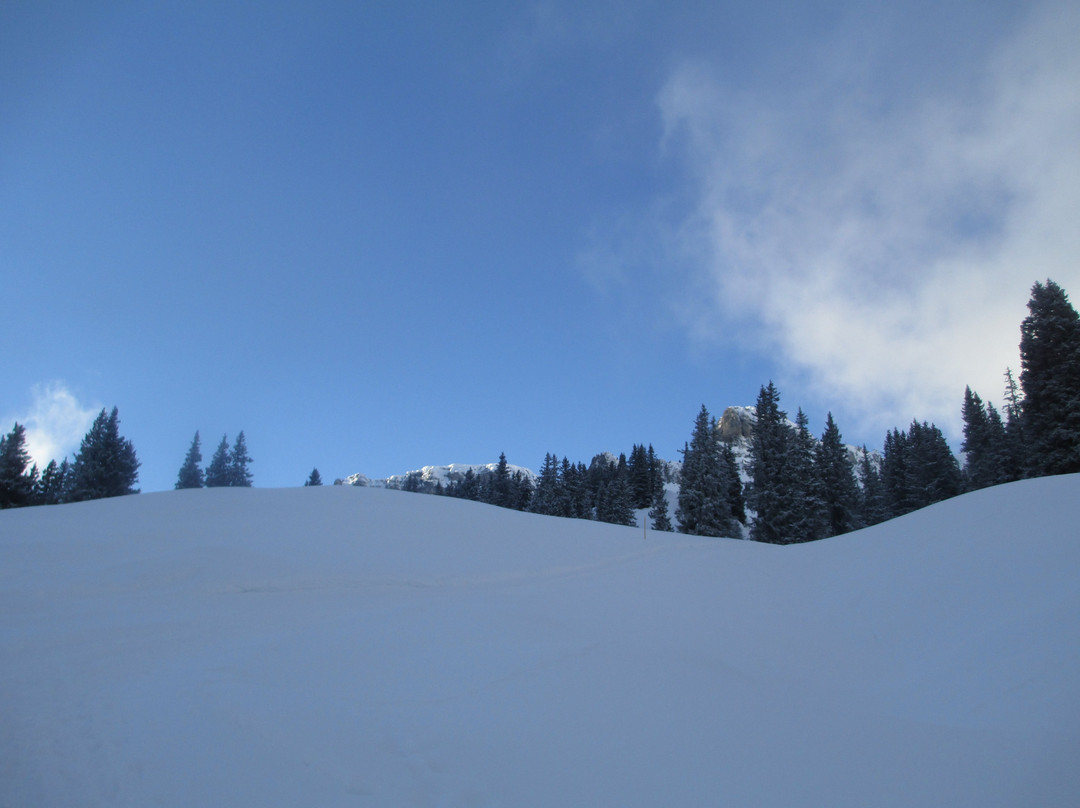 Skigebiet Braunwald-Braunwald必去景点