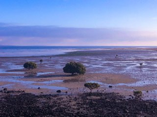 French Island National Park景点图片