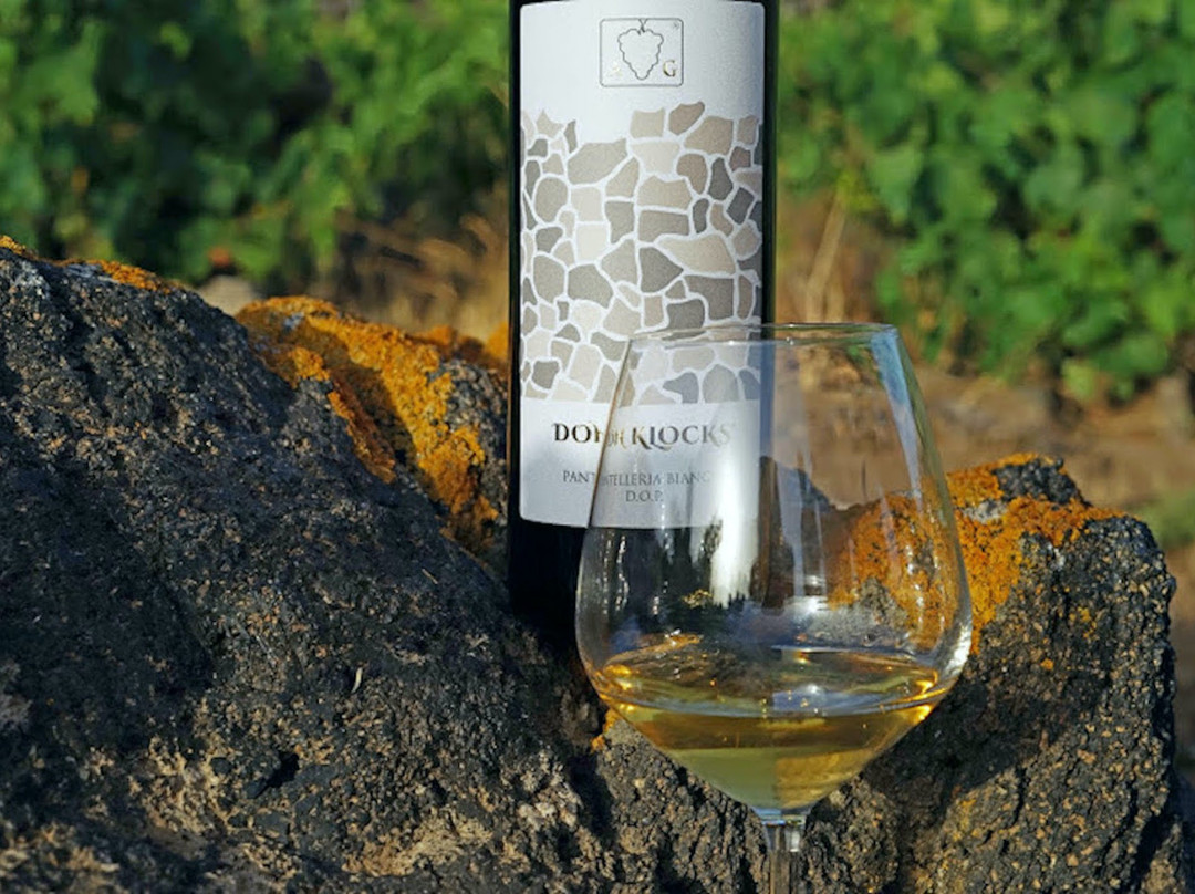 Azienda Vinicola Gabriele景点图片