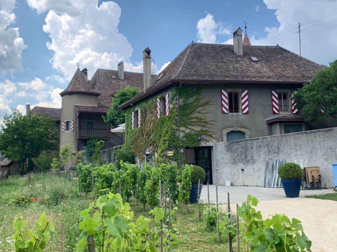 Chateau Rochefort主图