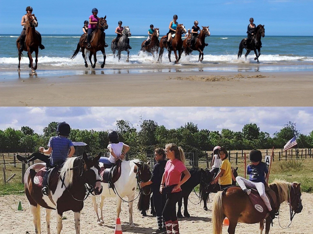 Centre de Tourisme Equestre de St Vivien景点图片