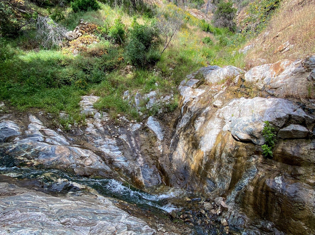Placerita Canyon Nature Center景点图片
