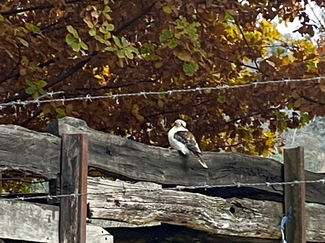 Bright Colonial Motel主图