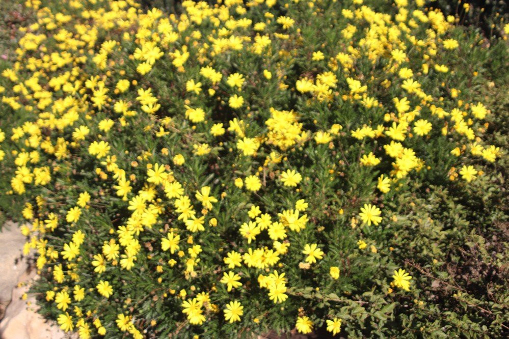 Christ The King Lutheran Church-雷德兰兹必去景点