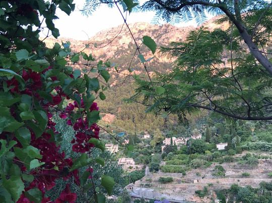 Hostal Villa Verde主图