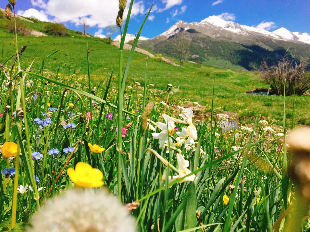 Albergo del Centro主图