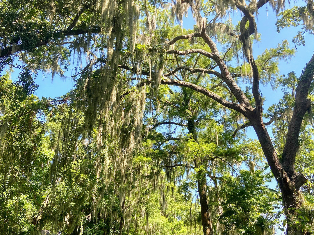 CatBoat Adventure Tours-Mount Dora必去景点