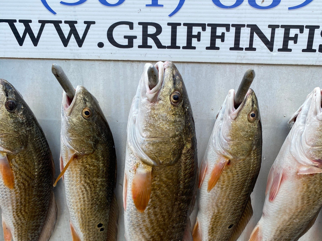 Griffin Fishing Charters & Lodge景点图片