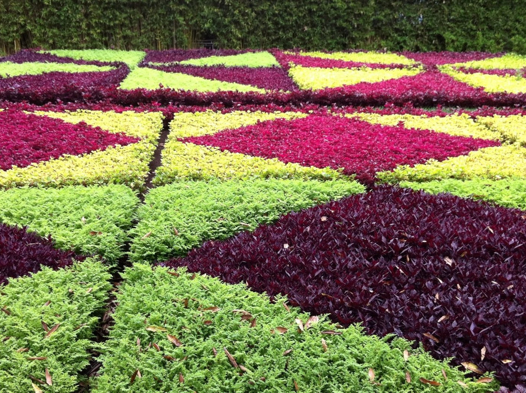 Quinta Vigia-沙尔必去景点