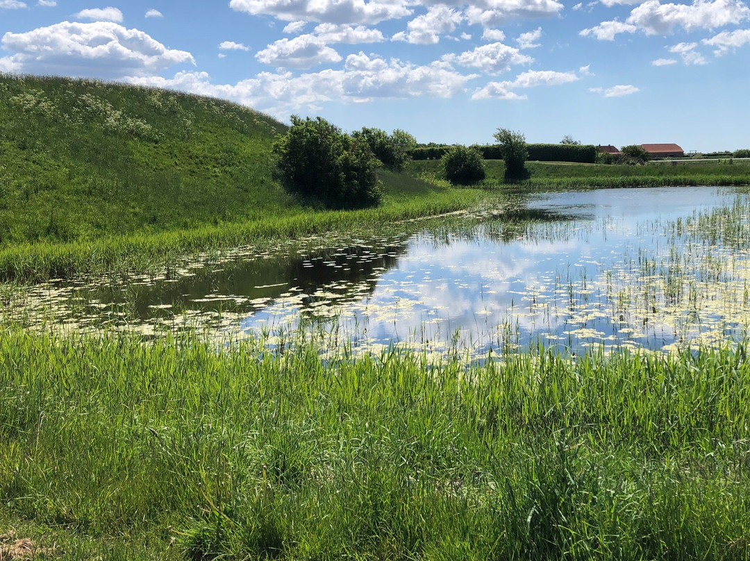 Riberhus Slotsbanke景点图片