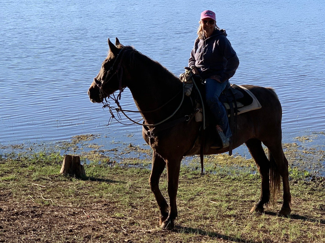 Porter Mountain Stables-Pinetop-Lakeside必去景点