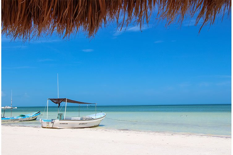 卡萨拉斯托尔图加斯珀蒂海滩酒店及水疗中心主图