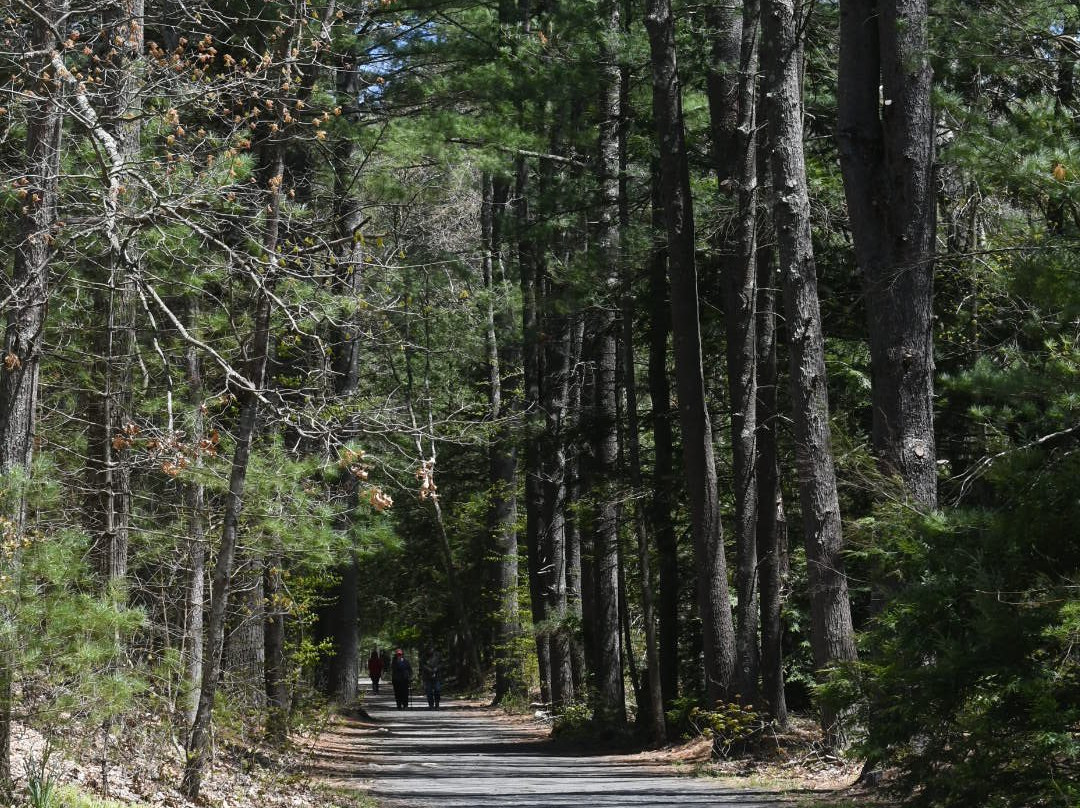 Stratton Brook State Park-锡姆斯伯里必去景点