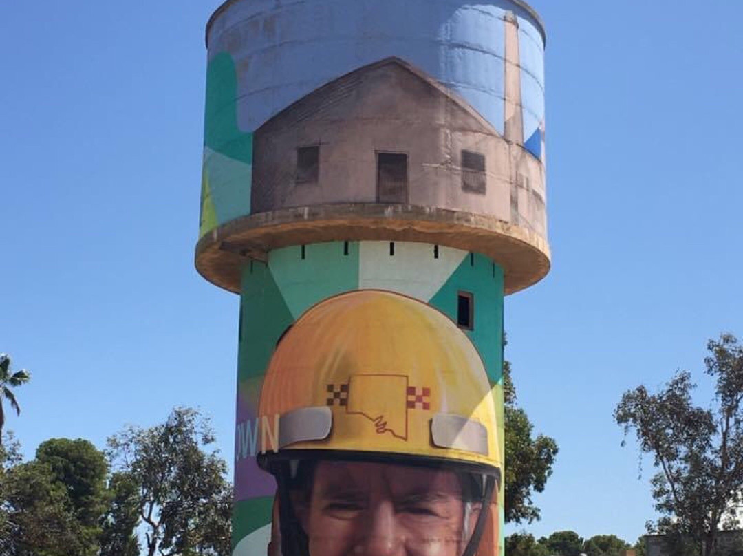 Snowtown Water Tower Art景点图片