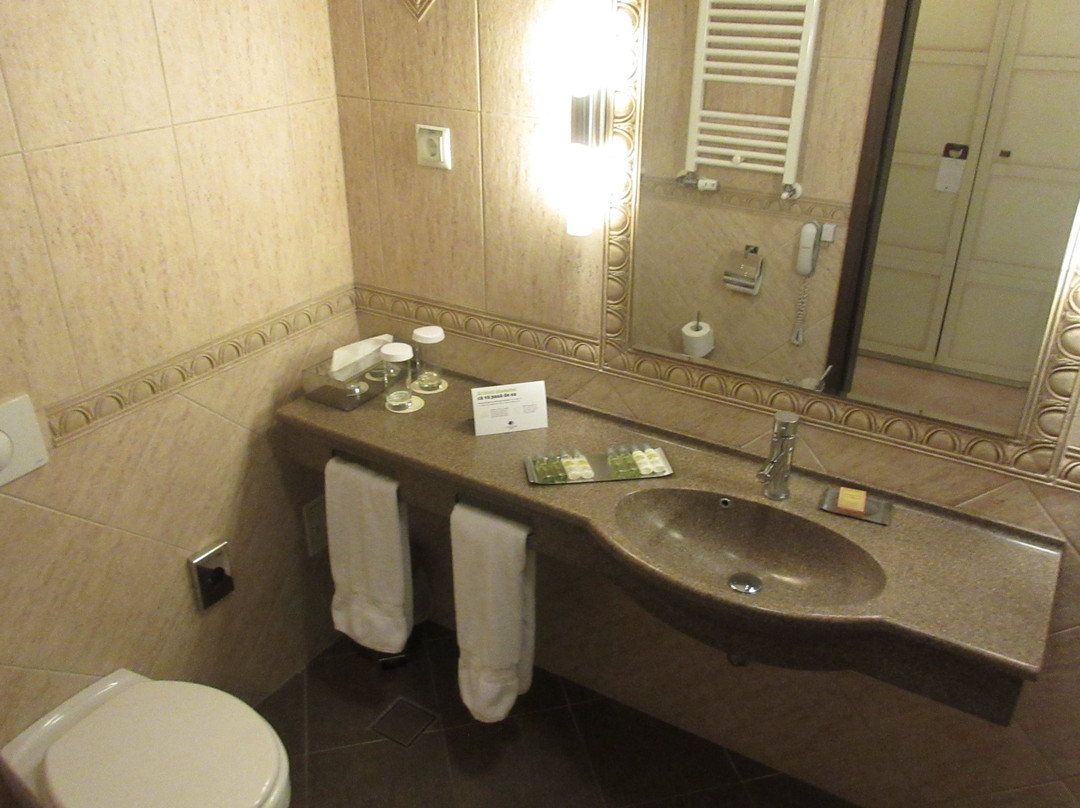 DoubleTree by Hilton Sighisoara - Cavaler主图