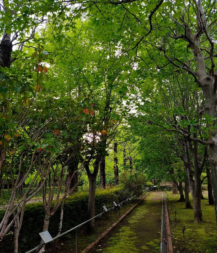 Sayama City Urban Botanical Garden-狭山市必去景点