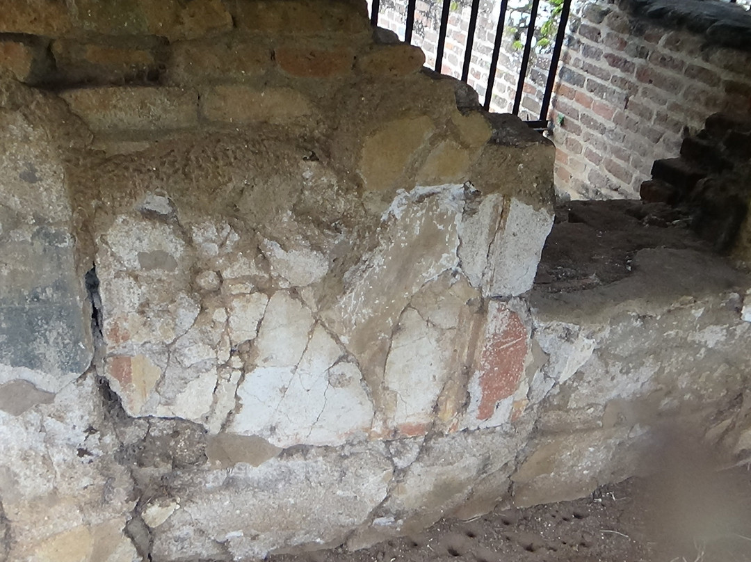 The Royal Palace (Vijayabahu Maligaya)-阿努拉德普勒圣城必去景点