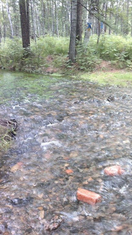 National Park Alkhanai-赤塔必去景点