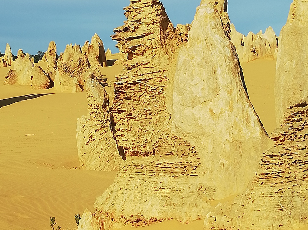 Nambung National Park景点图片