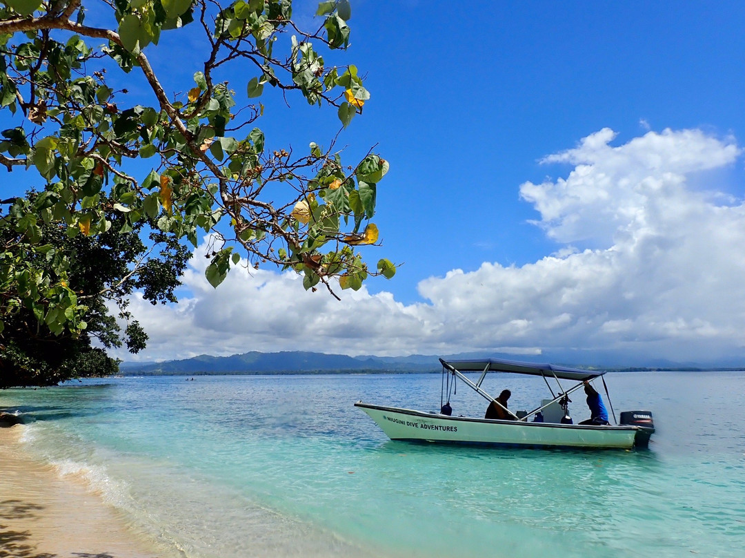 Niugini Dive Adventures-Madang必去景点
