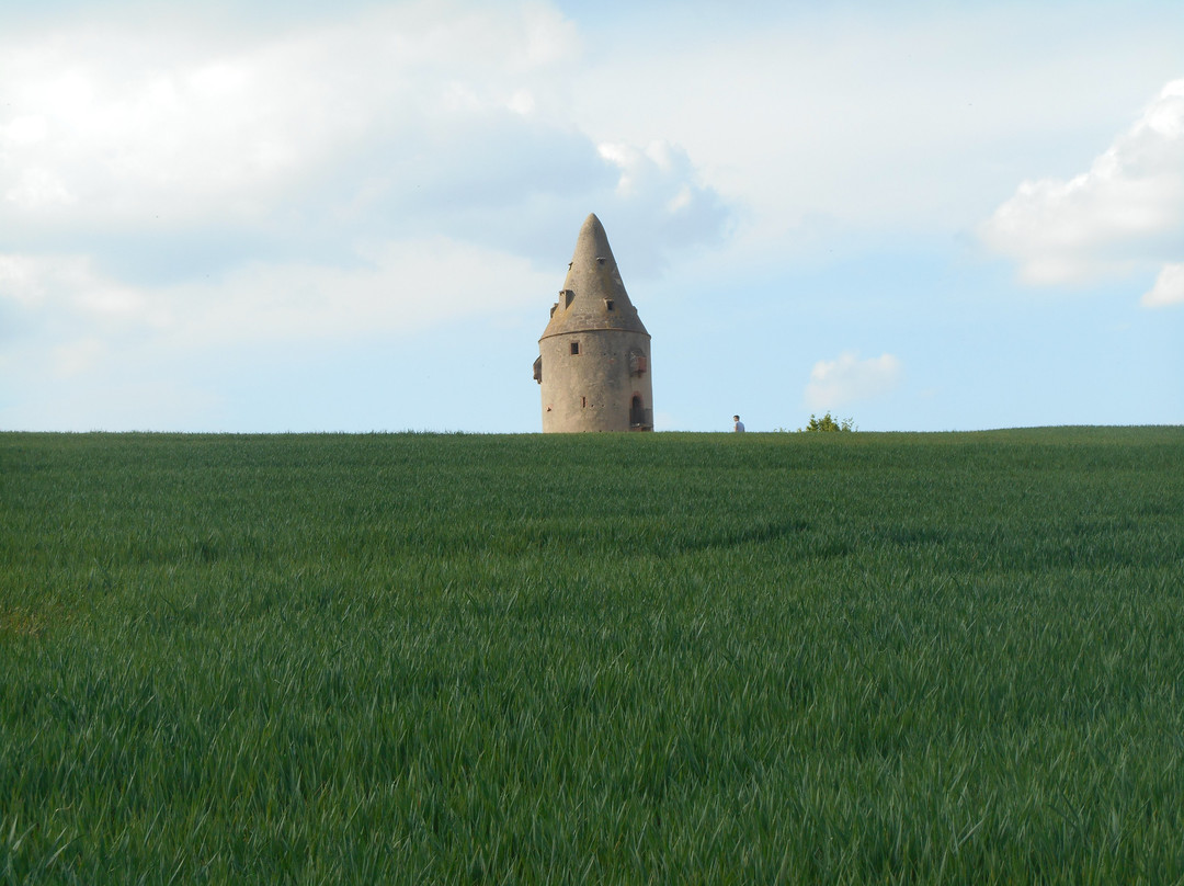 Schaafheimer Warte-Schaafheim必去景点