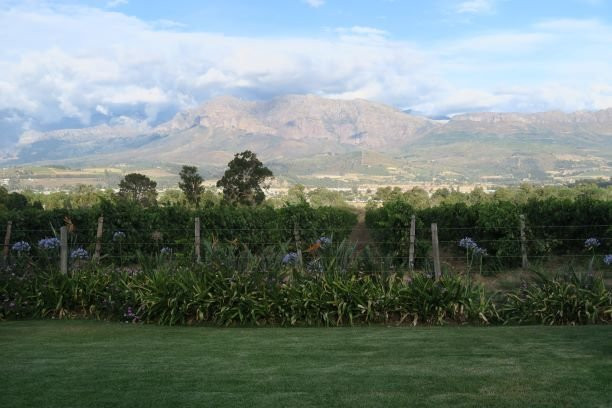 CANA Vineyard Guesthouse主图