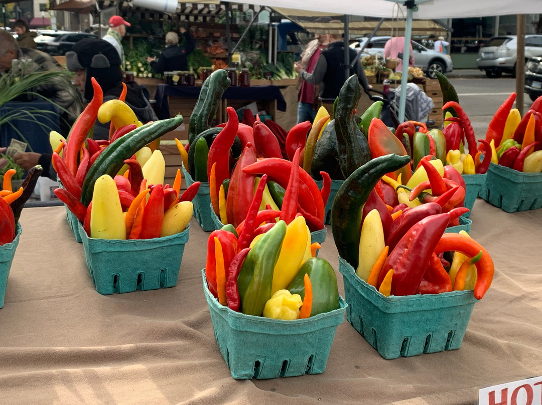 Eugene Saturday Market-尤金必去景点