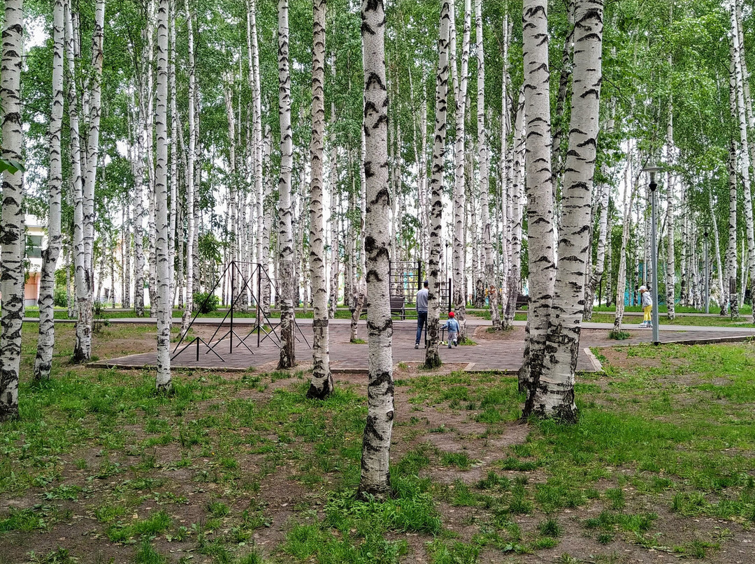 Park Named After Boris Losev景点图片