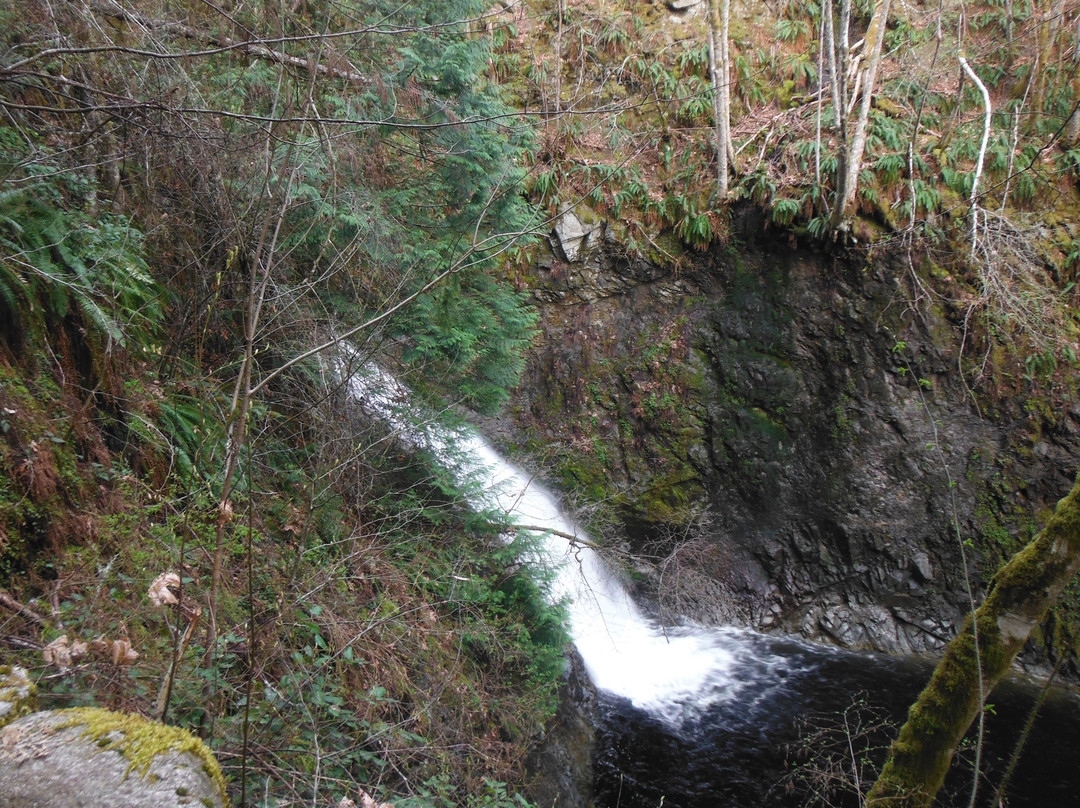 Holland Creek Hiking Trails景点图片
