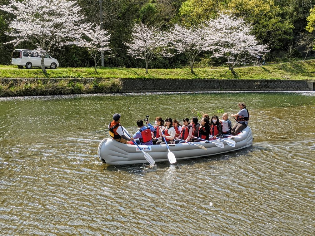 Sakura Trees Near Naka River景点图片