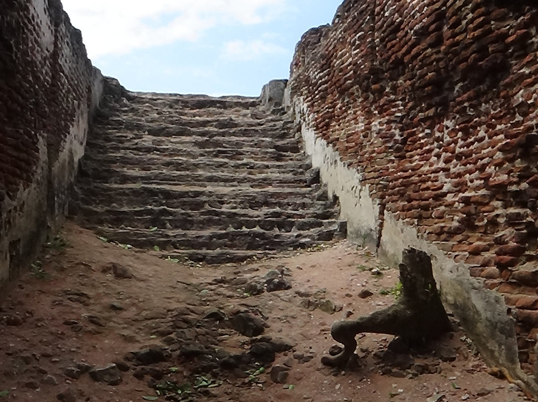 The Doric at Arippu-马纳尔必去景点