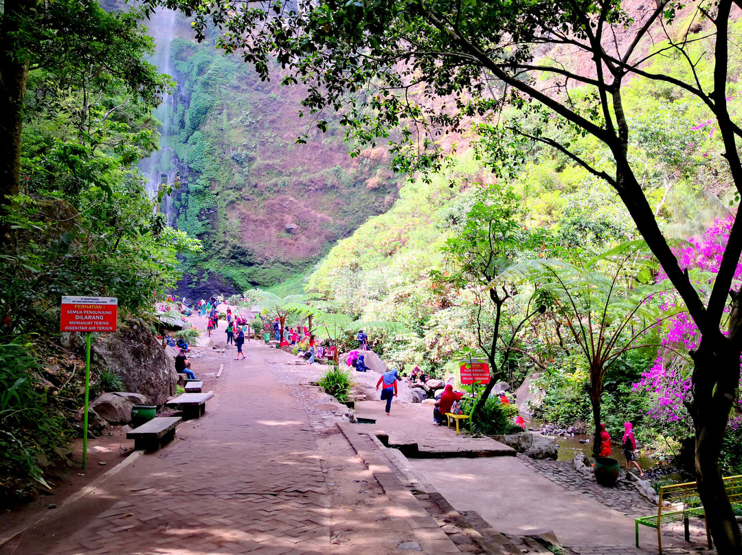 Coban Rondo Waterfall-巴图必去景点