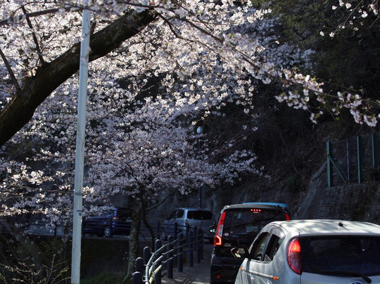 Ogonzan Mountain-广岛市必去景点