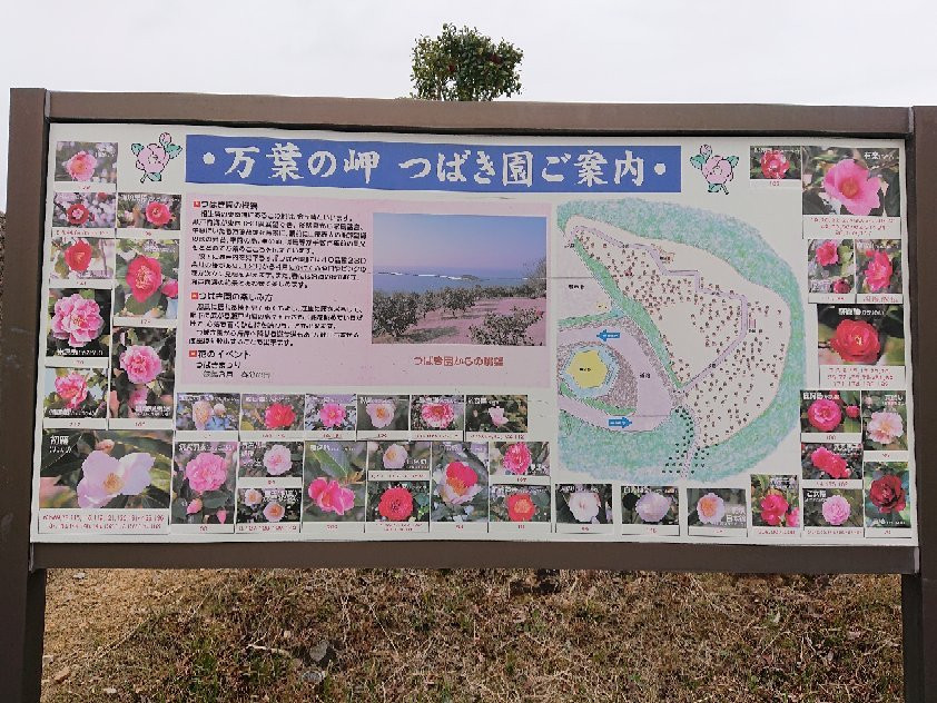 Manyo Cape-相生市必去景点