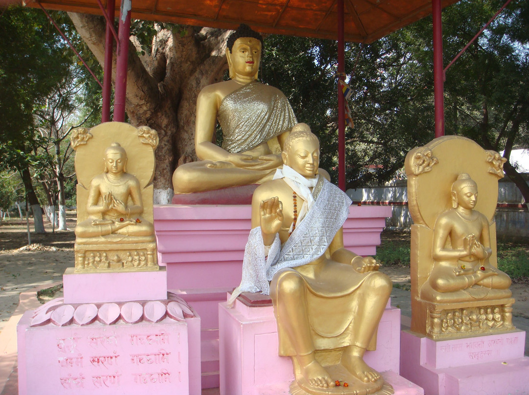Statue of Standing Buddha景点图片