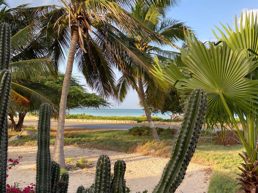 Beach House Aruba Apartments主图