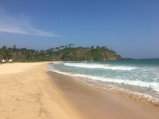 Zephyr Talalla主图