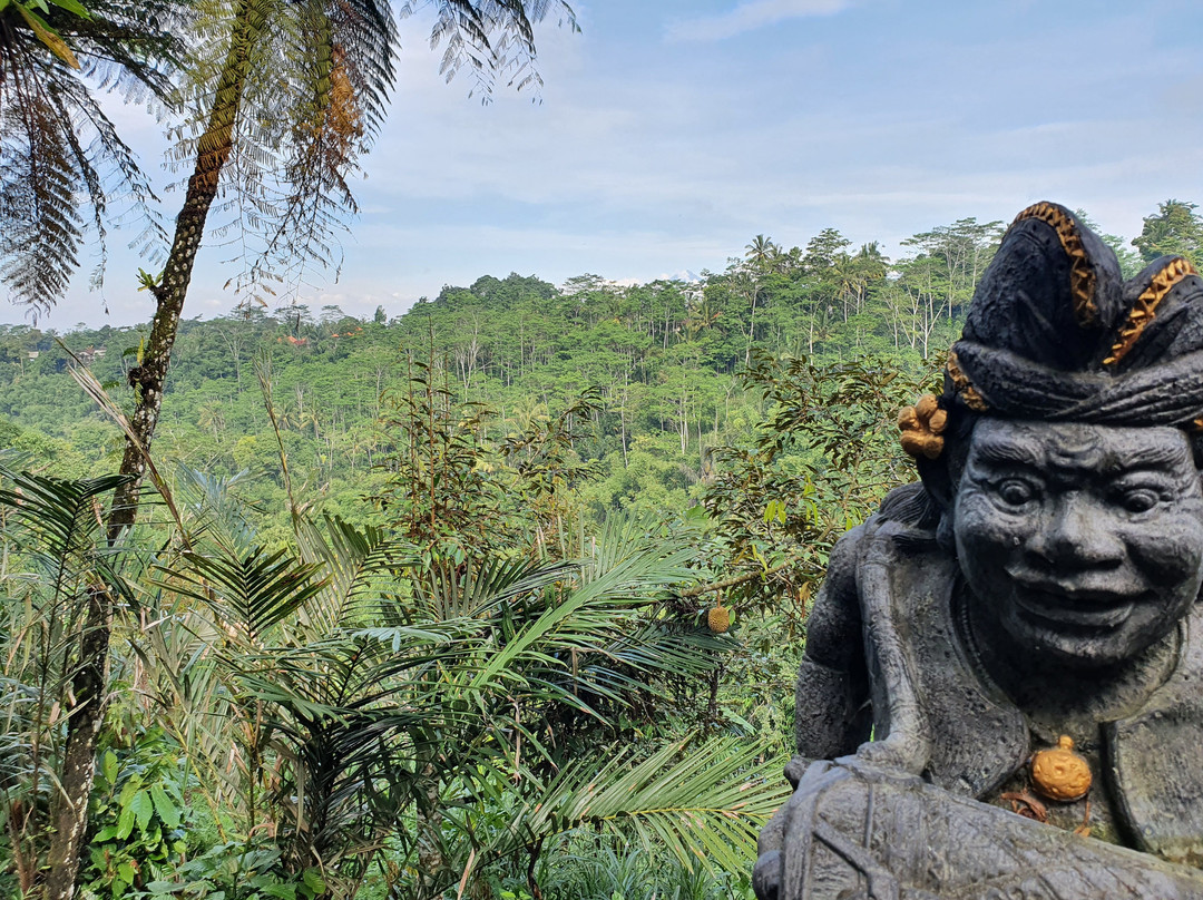 Bali Reiseleiter Martin-吉安雅必去景点