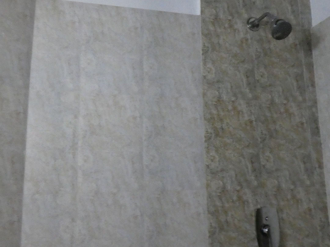 斯利那加酒店主图