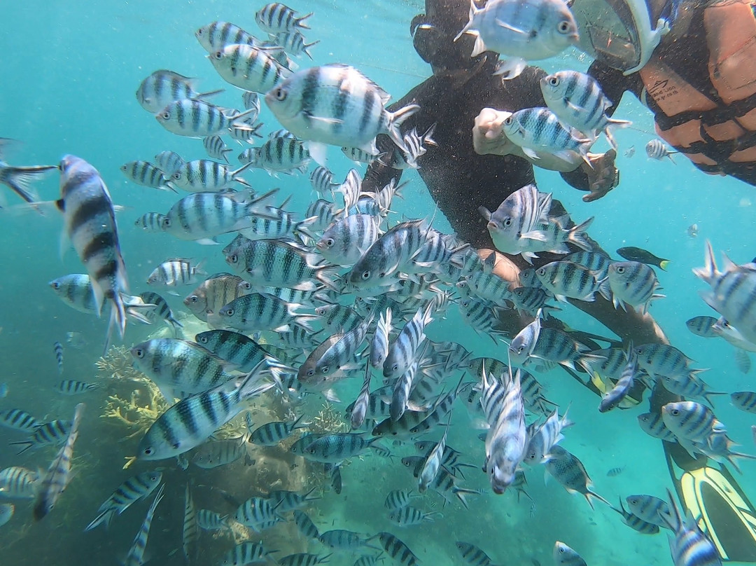 Scuba Academy Koh Chang景点图片