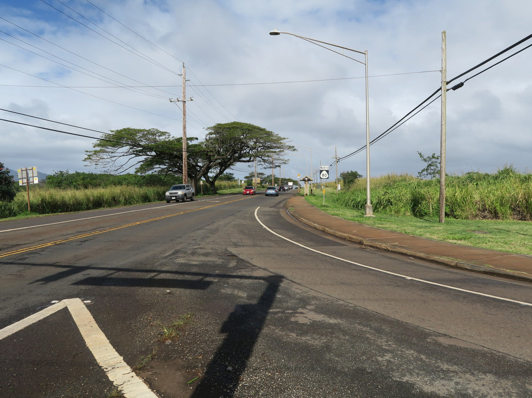 Kukaniloko Birthing Stones-瓦西瓦必去景点