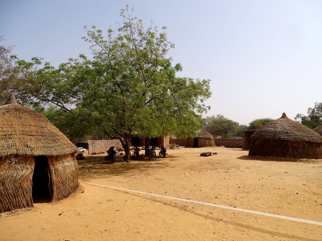 National Museum of Niger (Musée National du Niger)-尼亚美必去景点