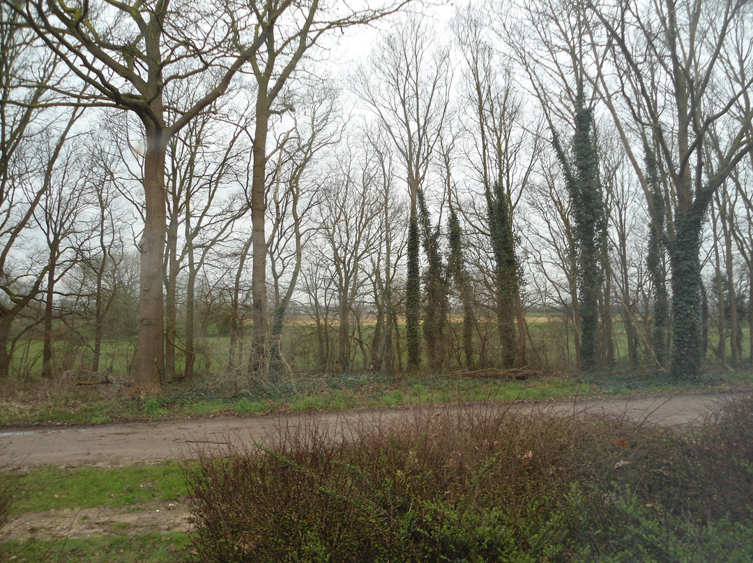 Auberge De Papenberg