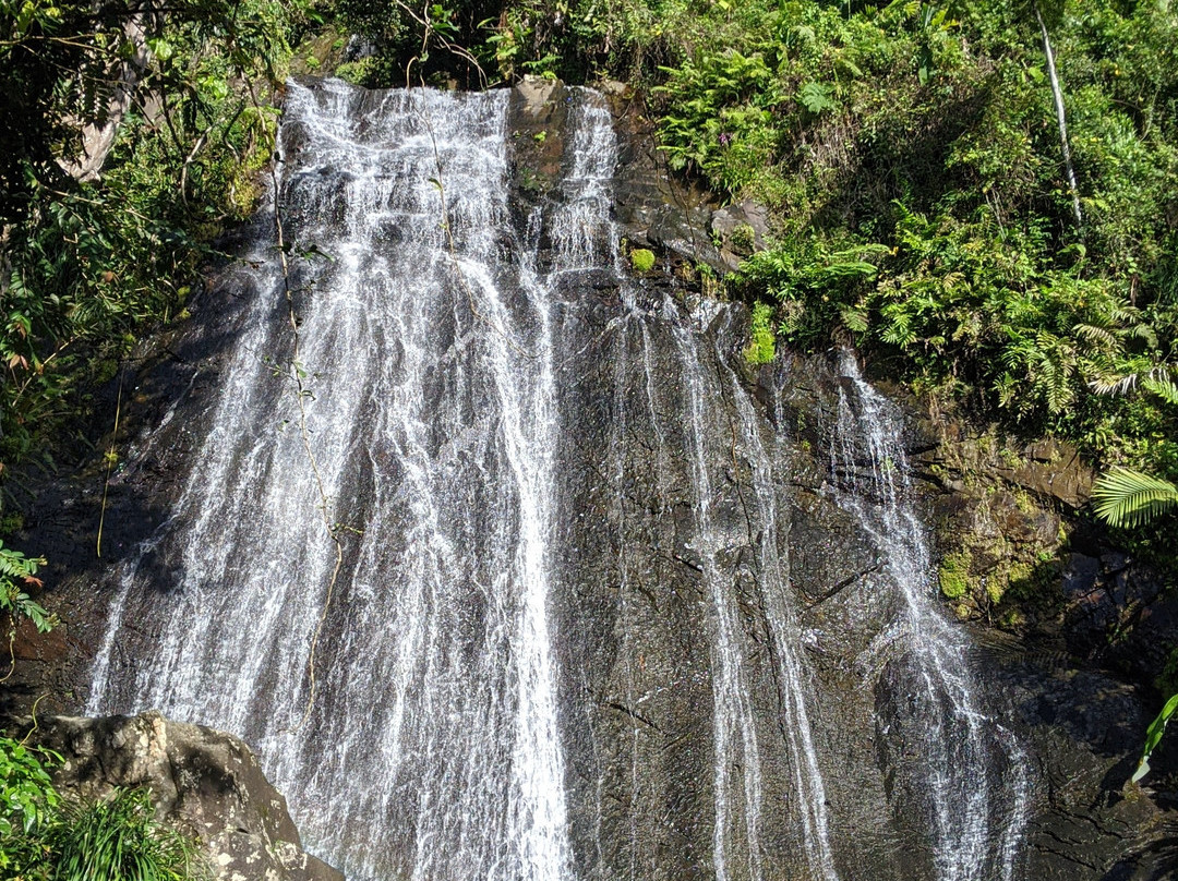 Catarata La Coca-云盖国家森林公园必去景点